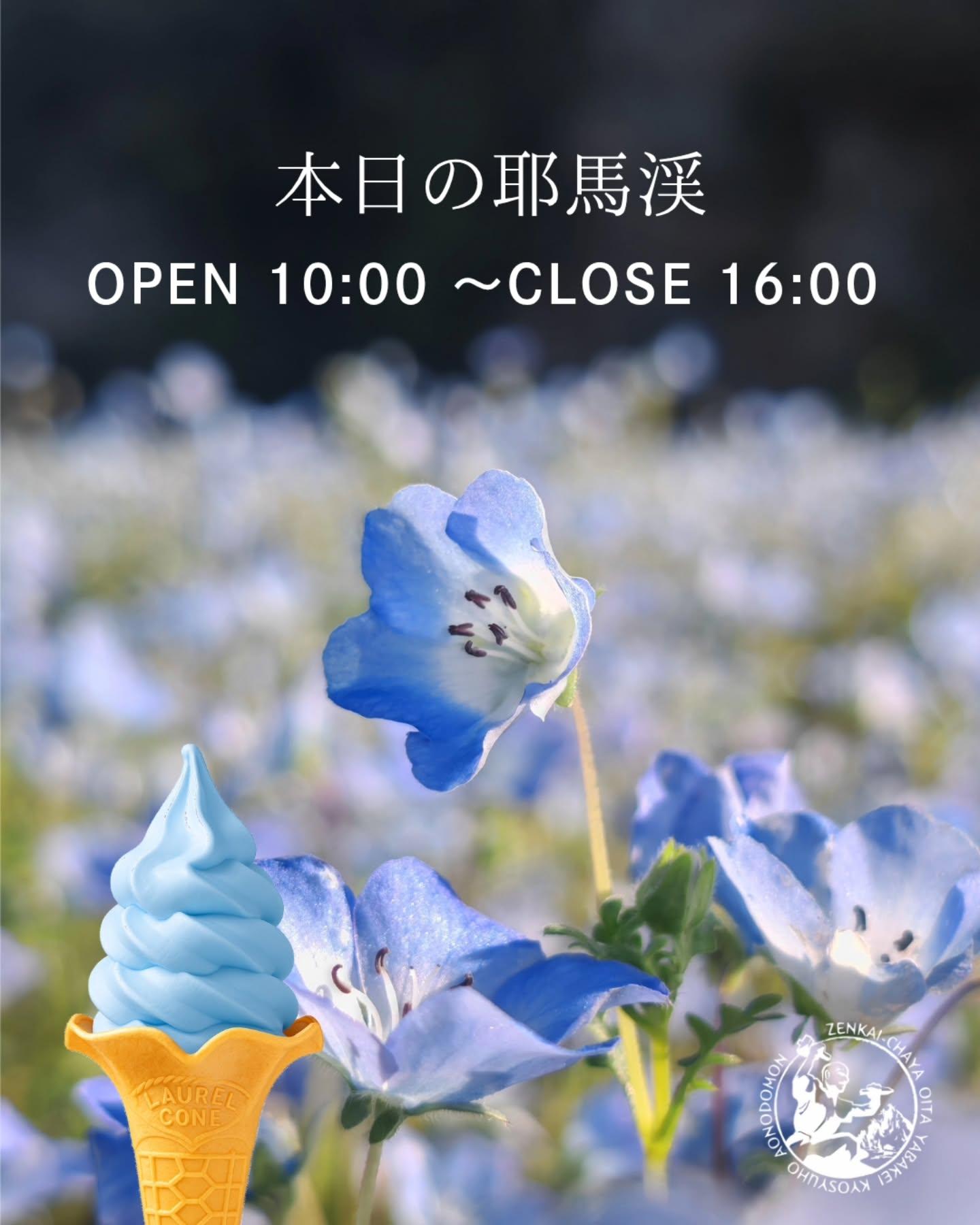 最新情報画像