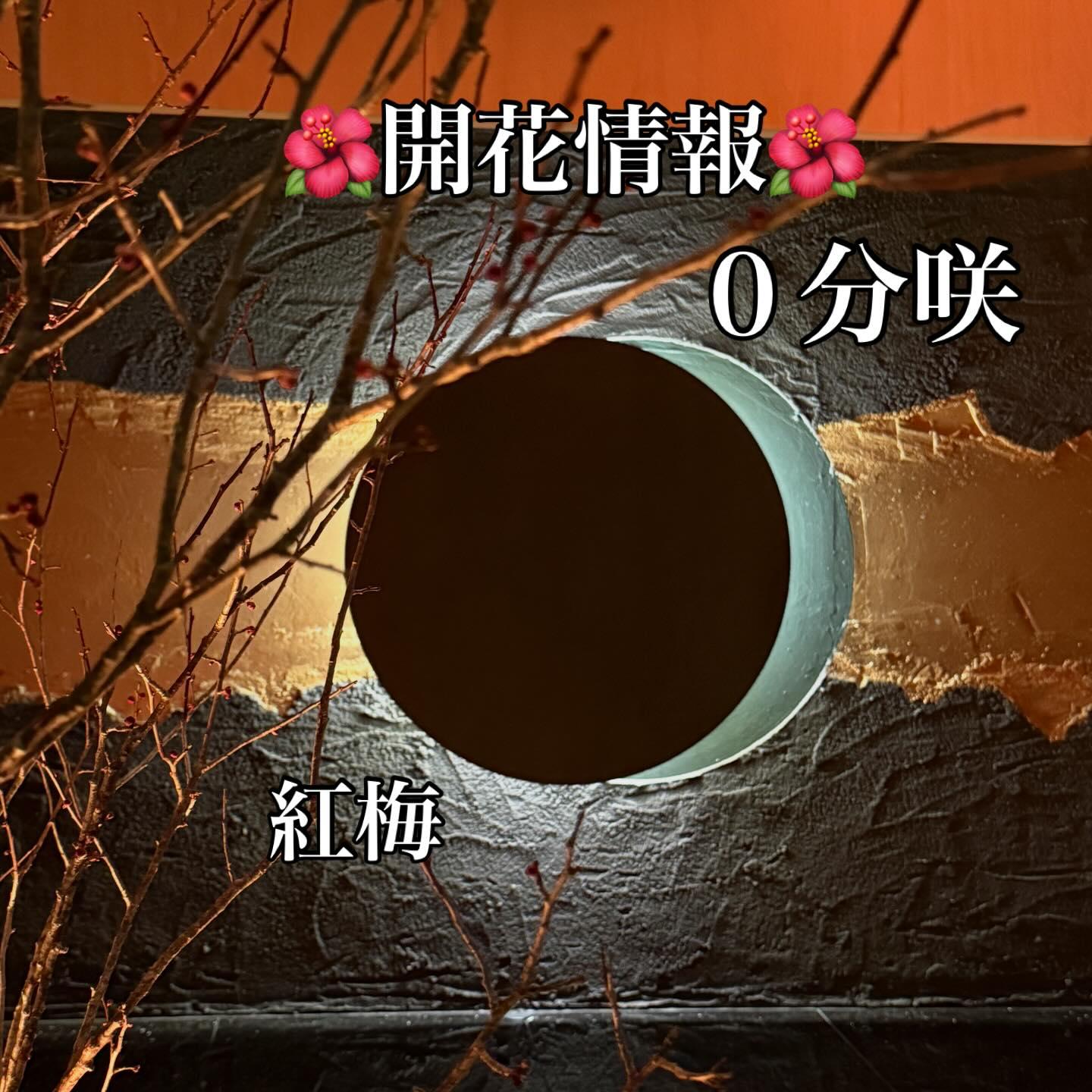 最新情報画像
