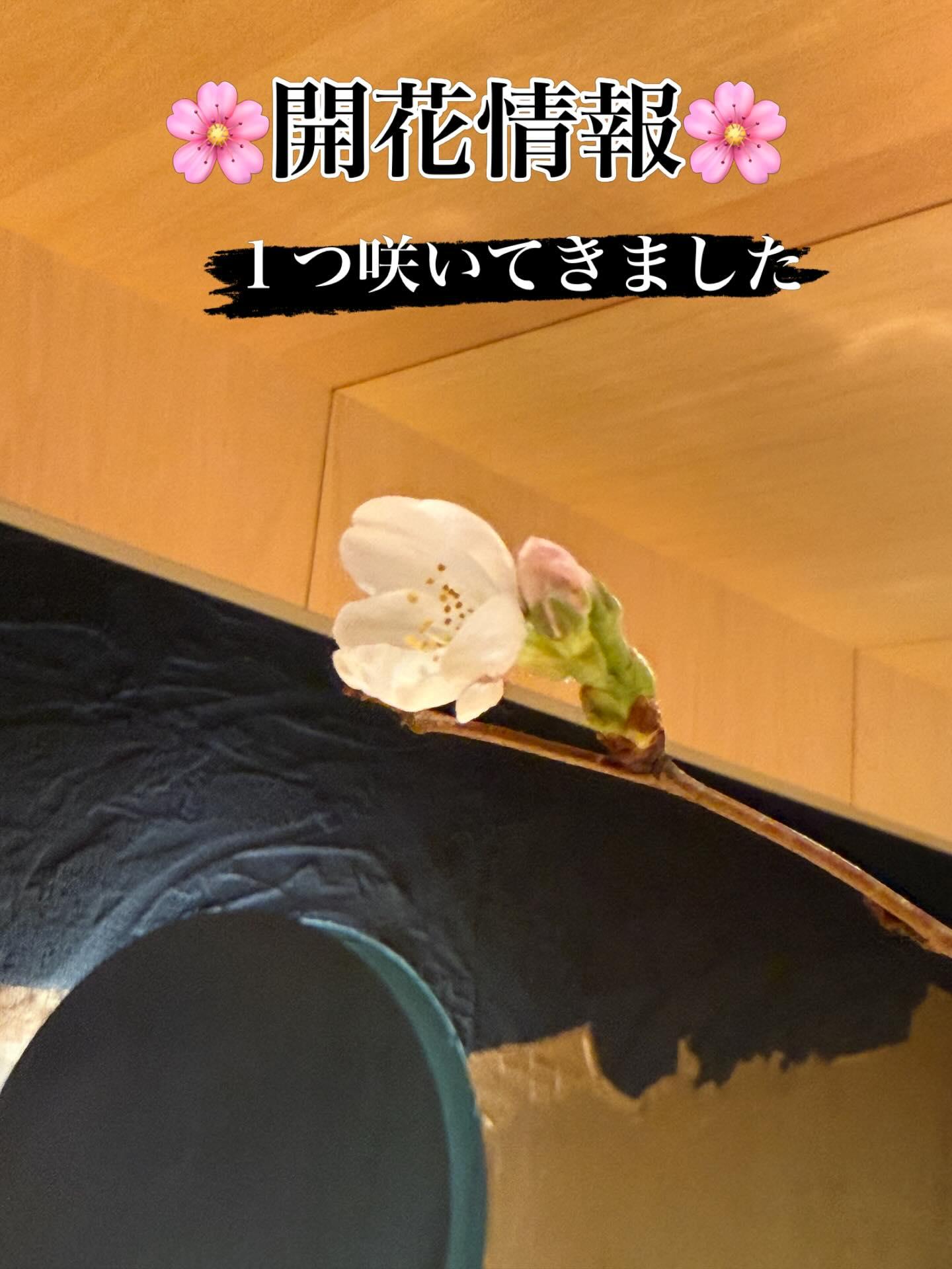 最新情報画像