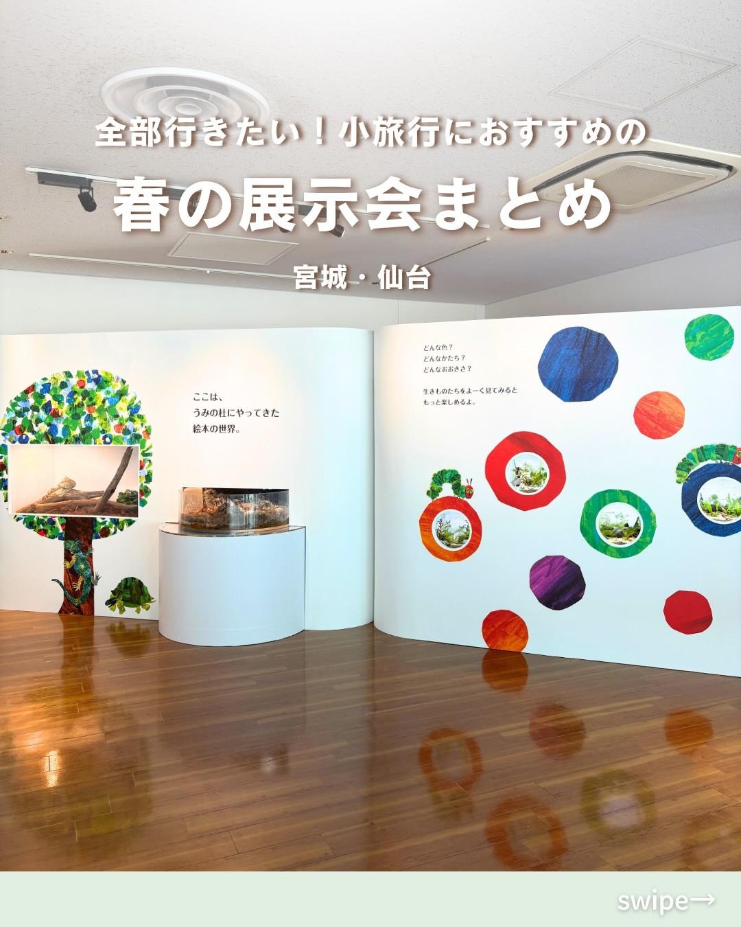 最新情報画像