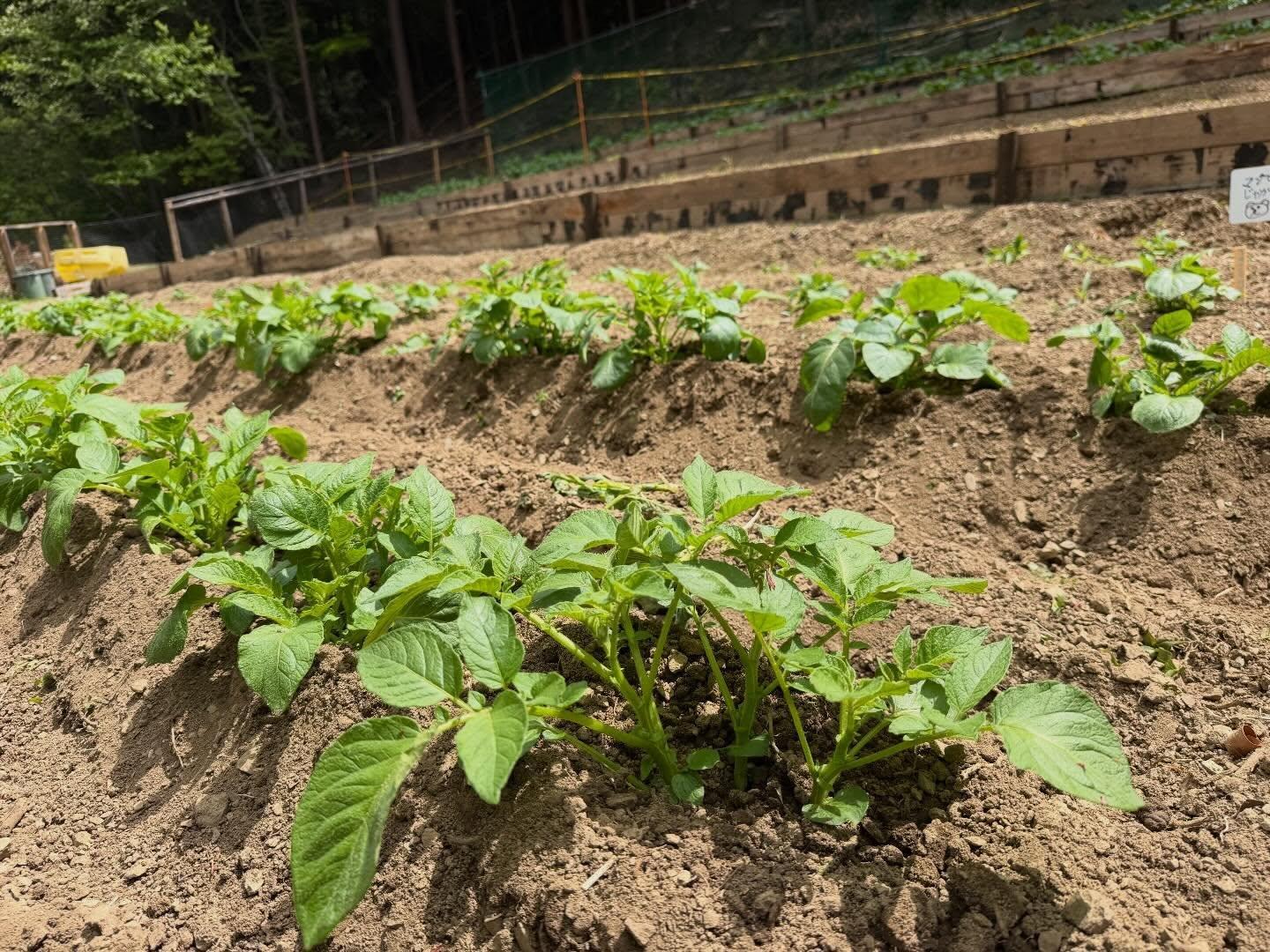最新情報画像