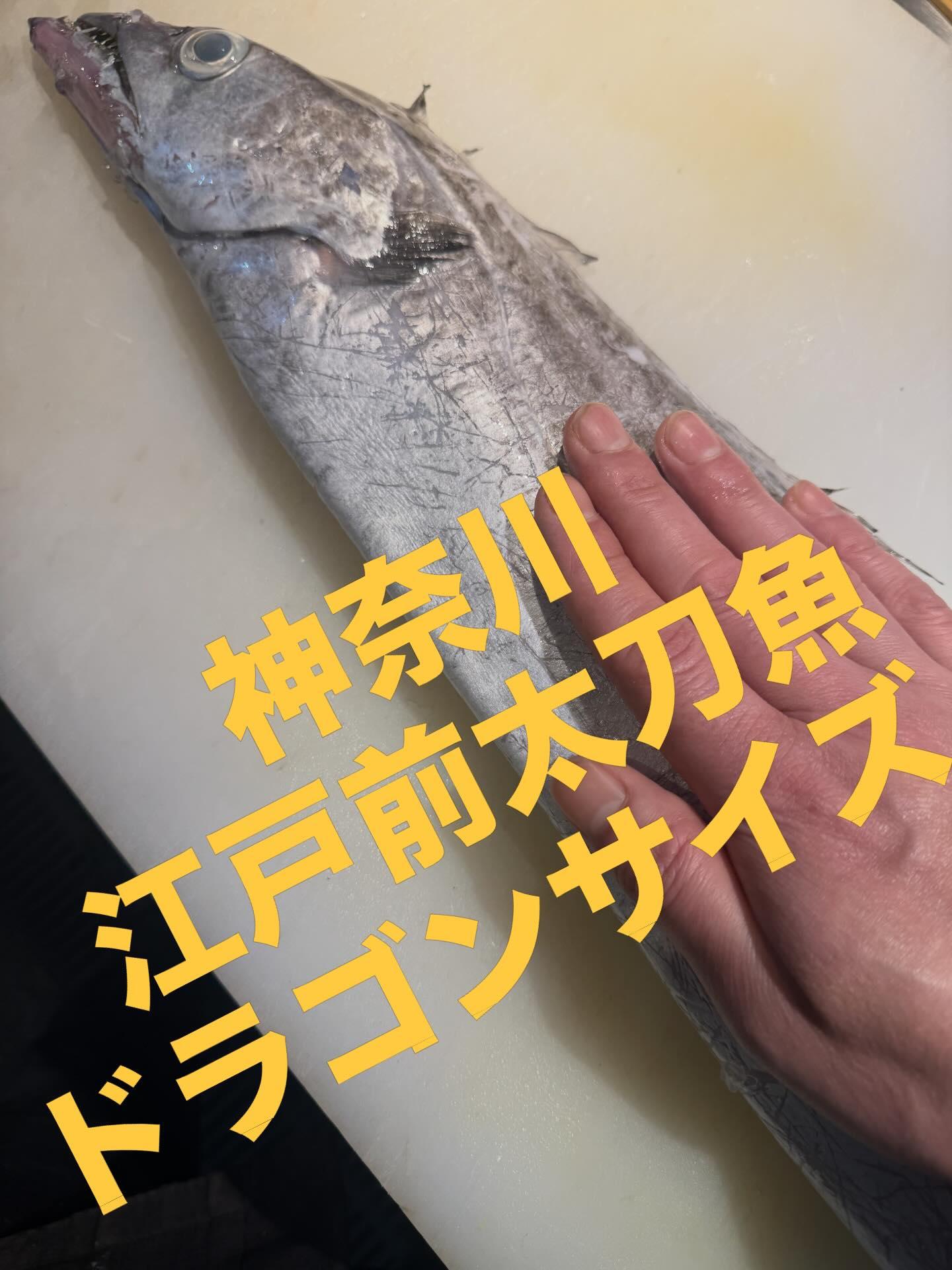 最新情報画像