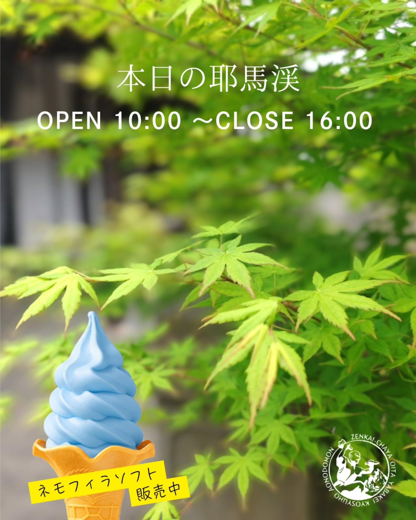 最新情報画像
