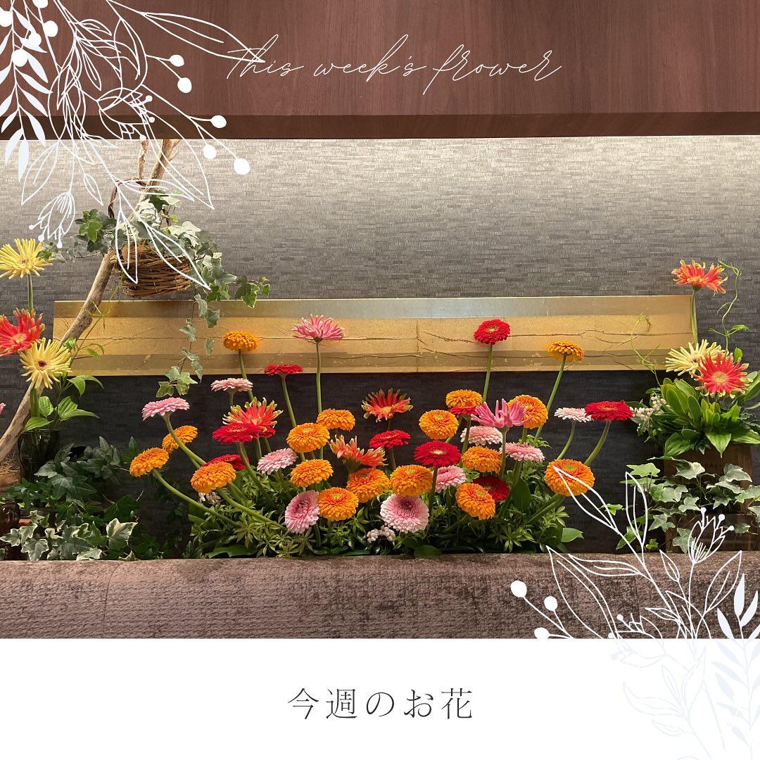 最新情報画像