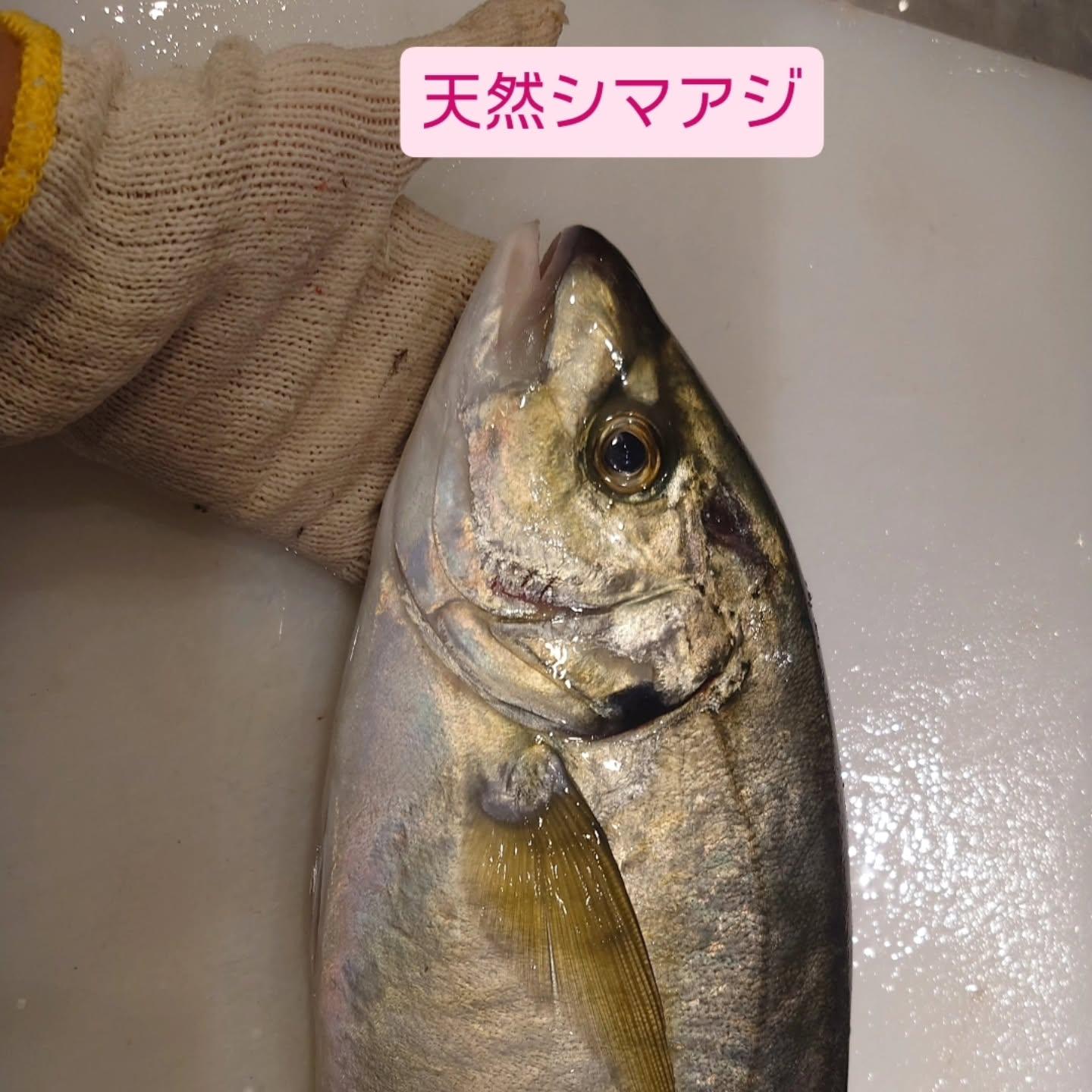 最新情報画像