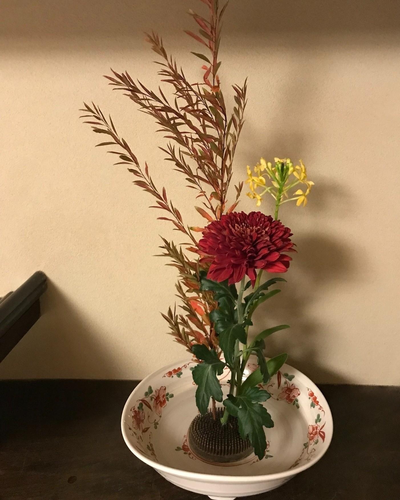 最新情報画像