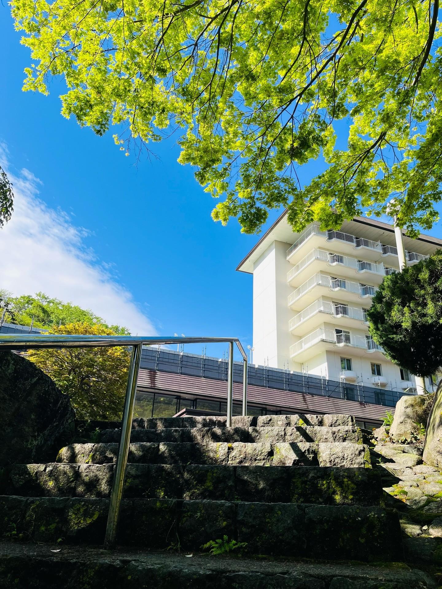 最新情報画像
