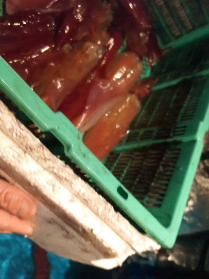 最新情報画像