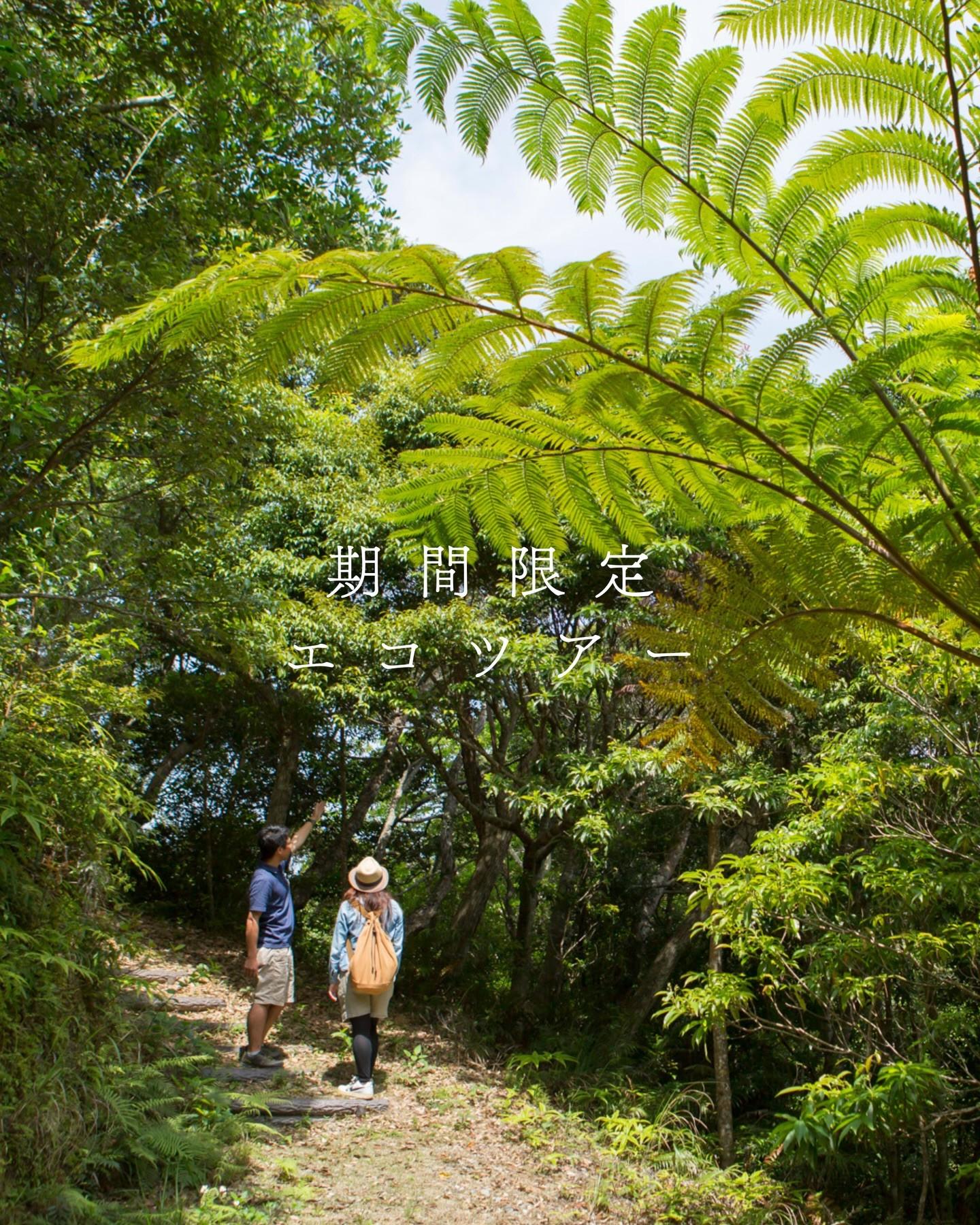 最新情報画像