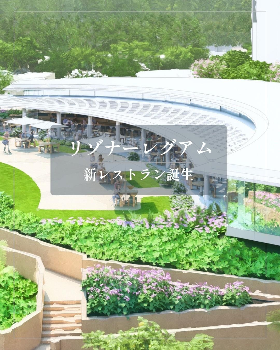 最新情報画像