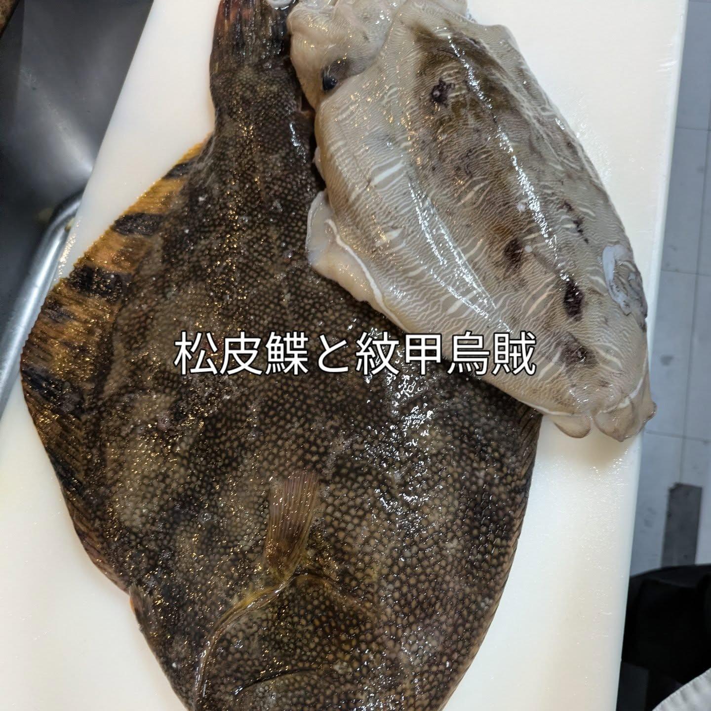 最新情報画像