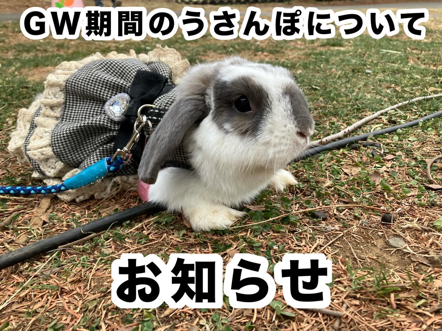 最新情報画像