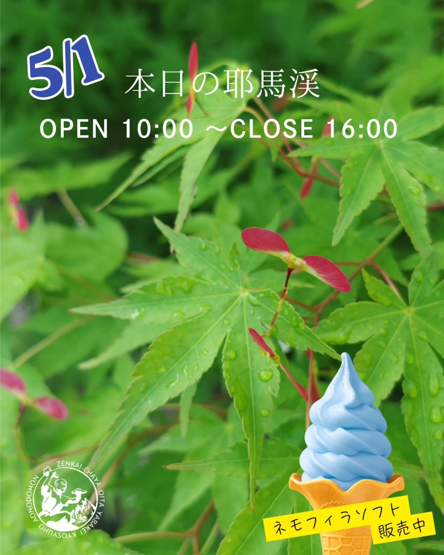 最新情報画像