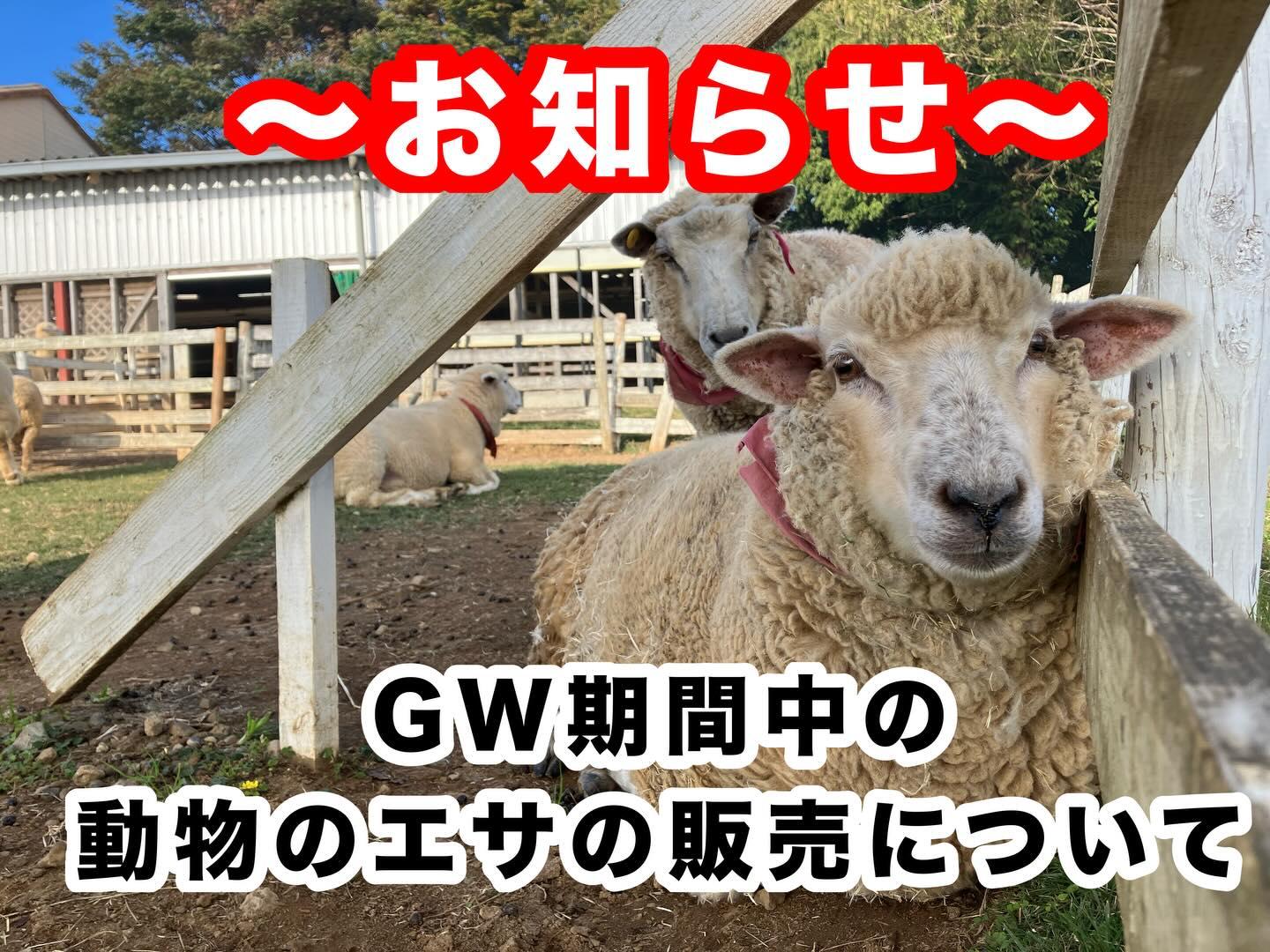 最新情報画像