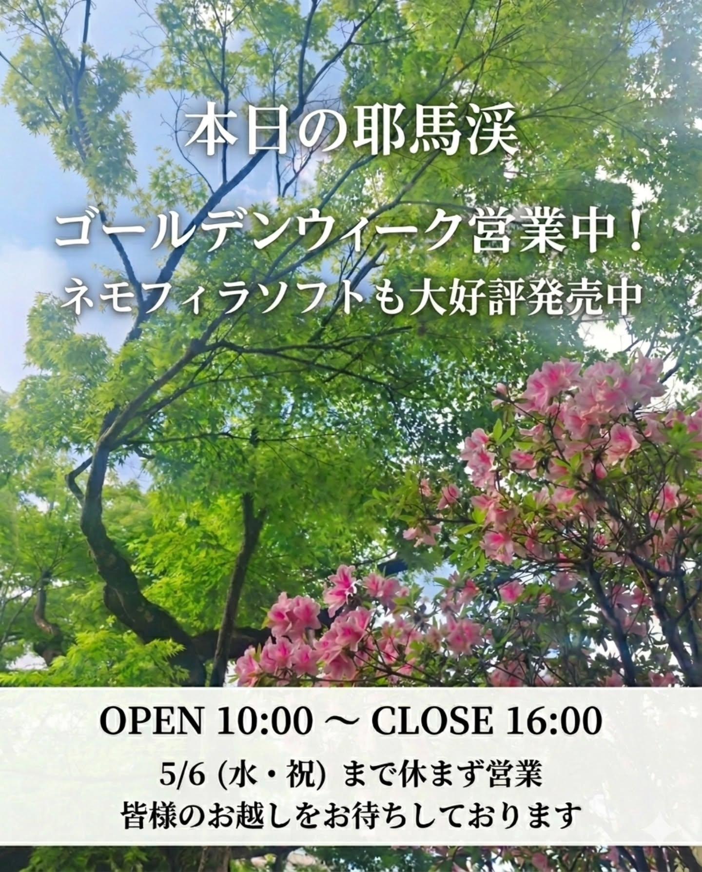 最新情報画像