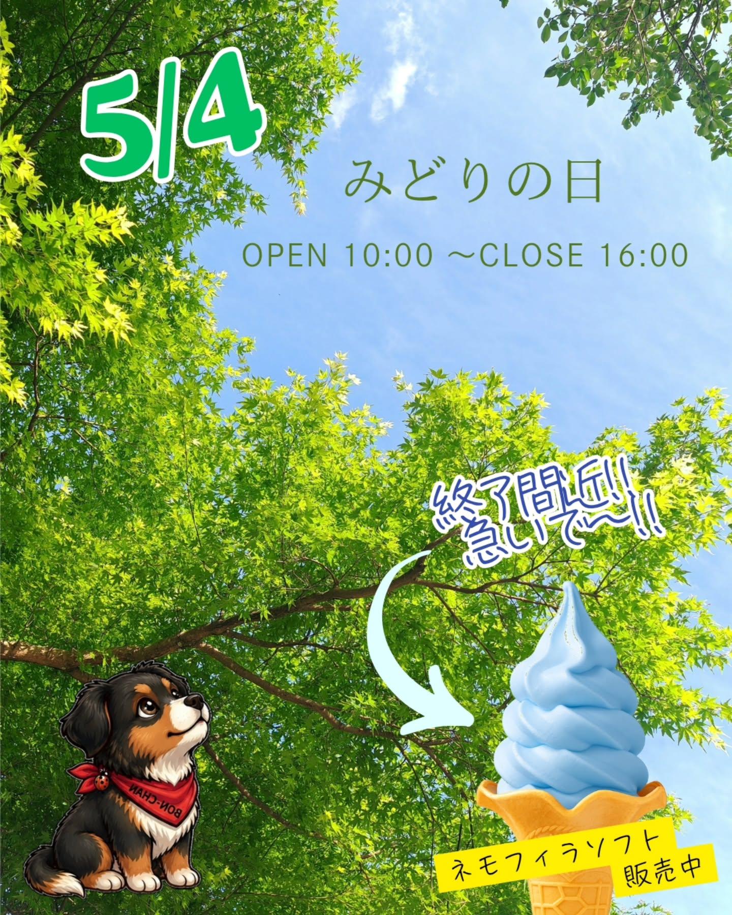 最新情報画像