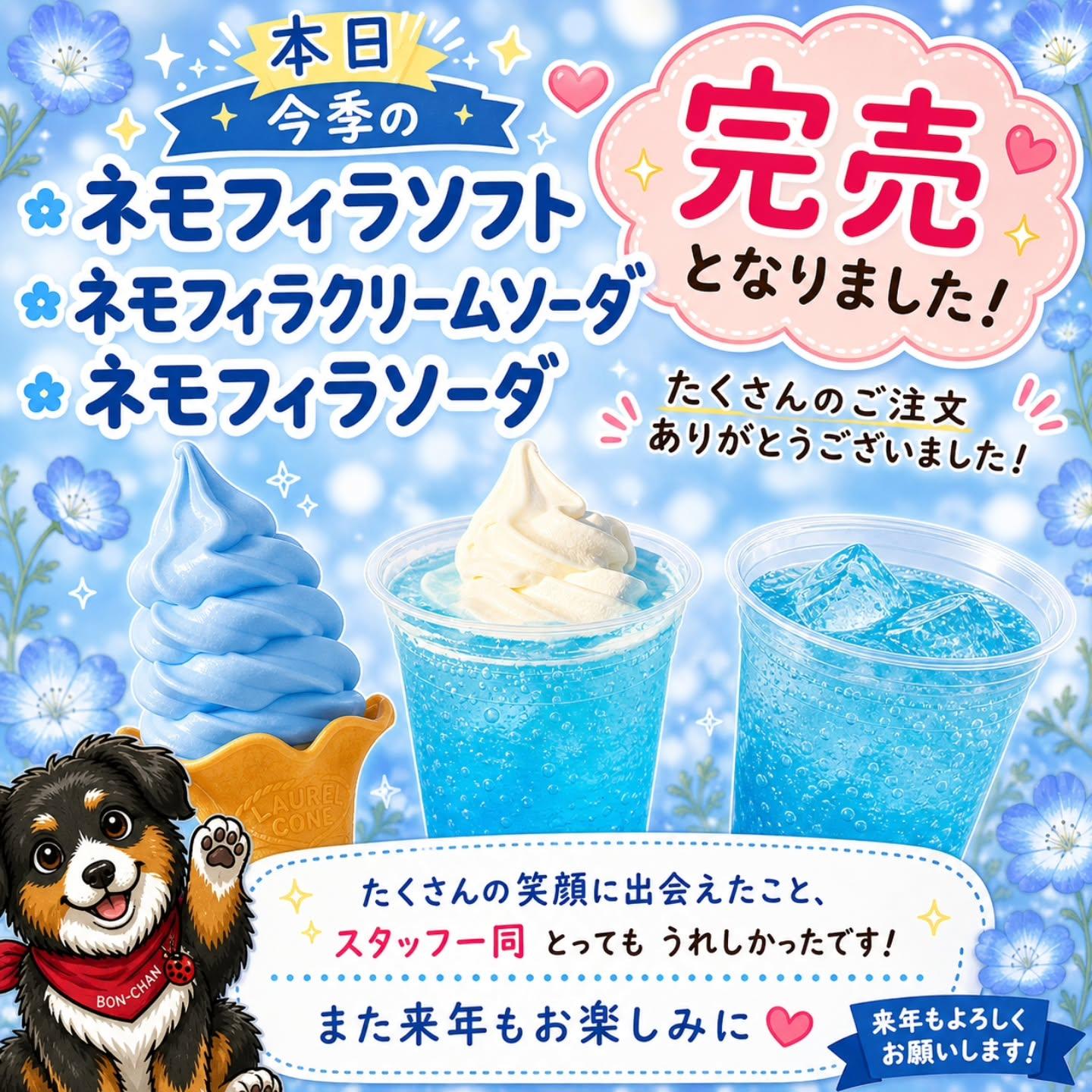 最新情報画像