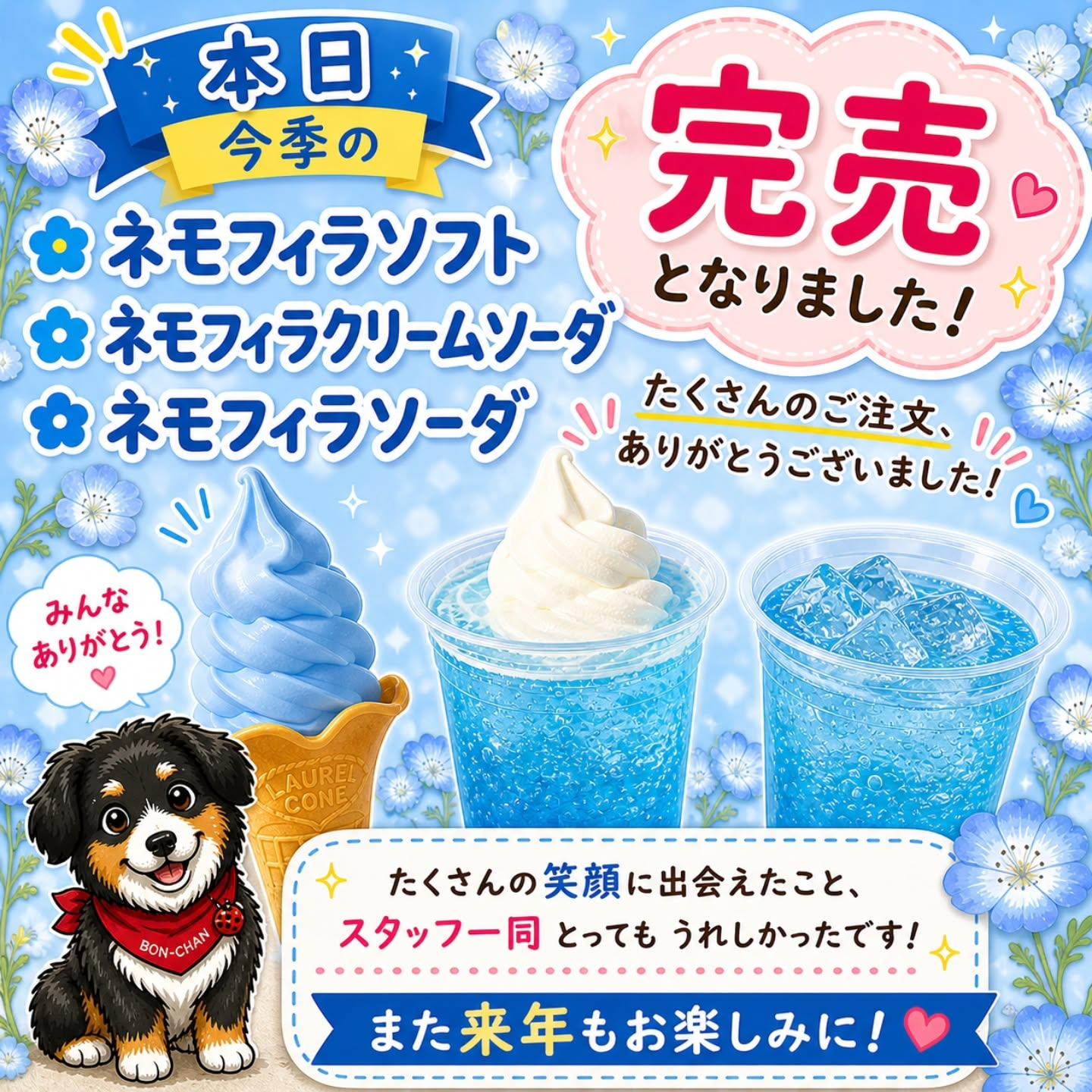 最新情報画像