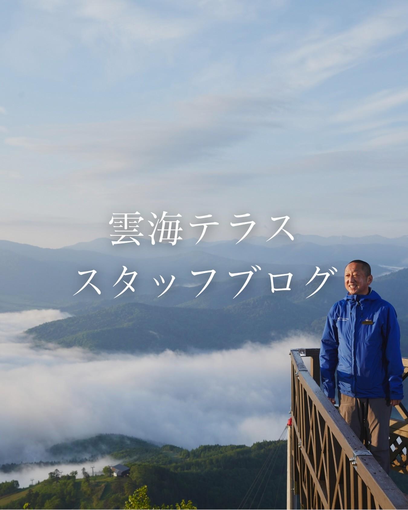 最新情報画像