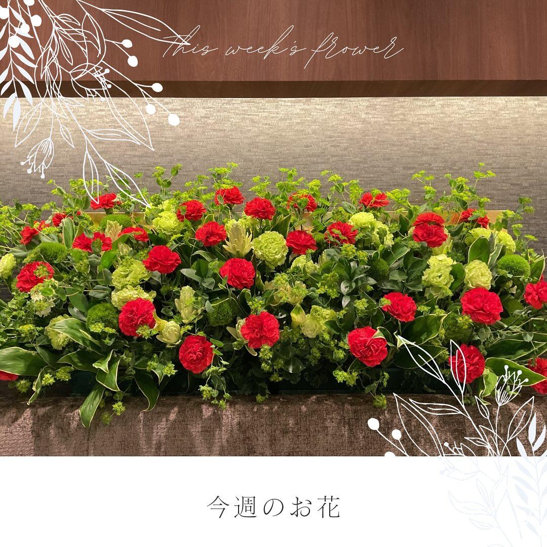 最新情報画像