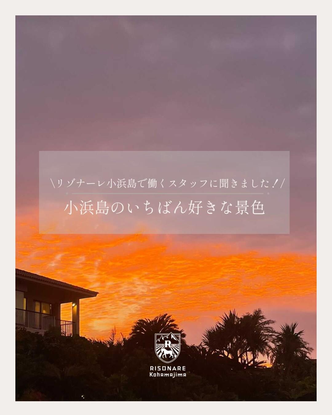 最新情報画像