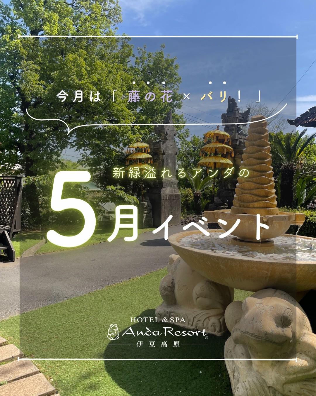最新情報画像