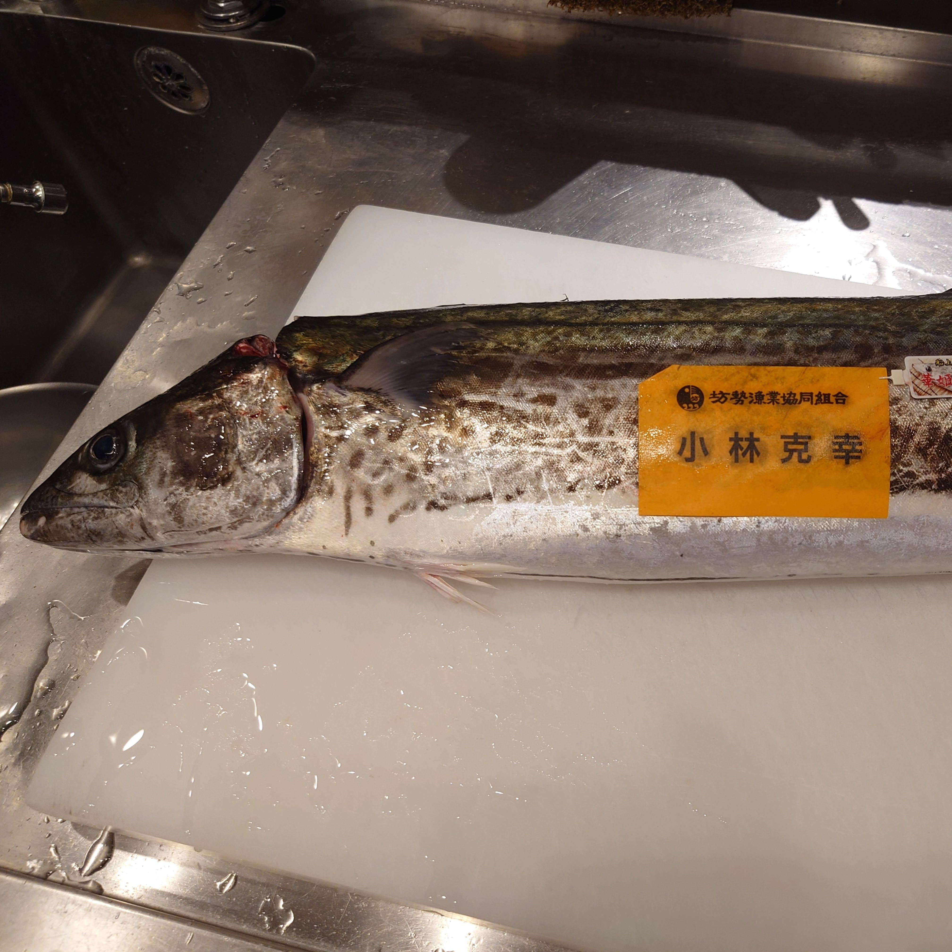 最新情報画像