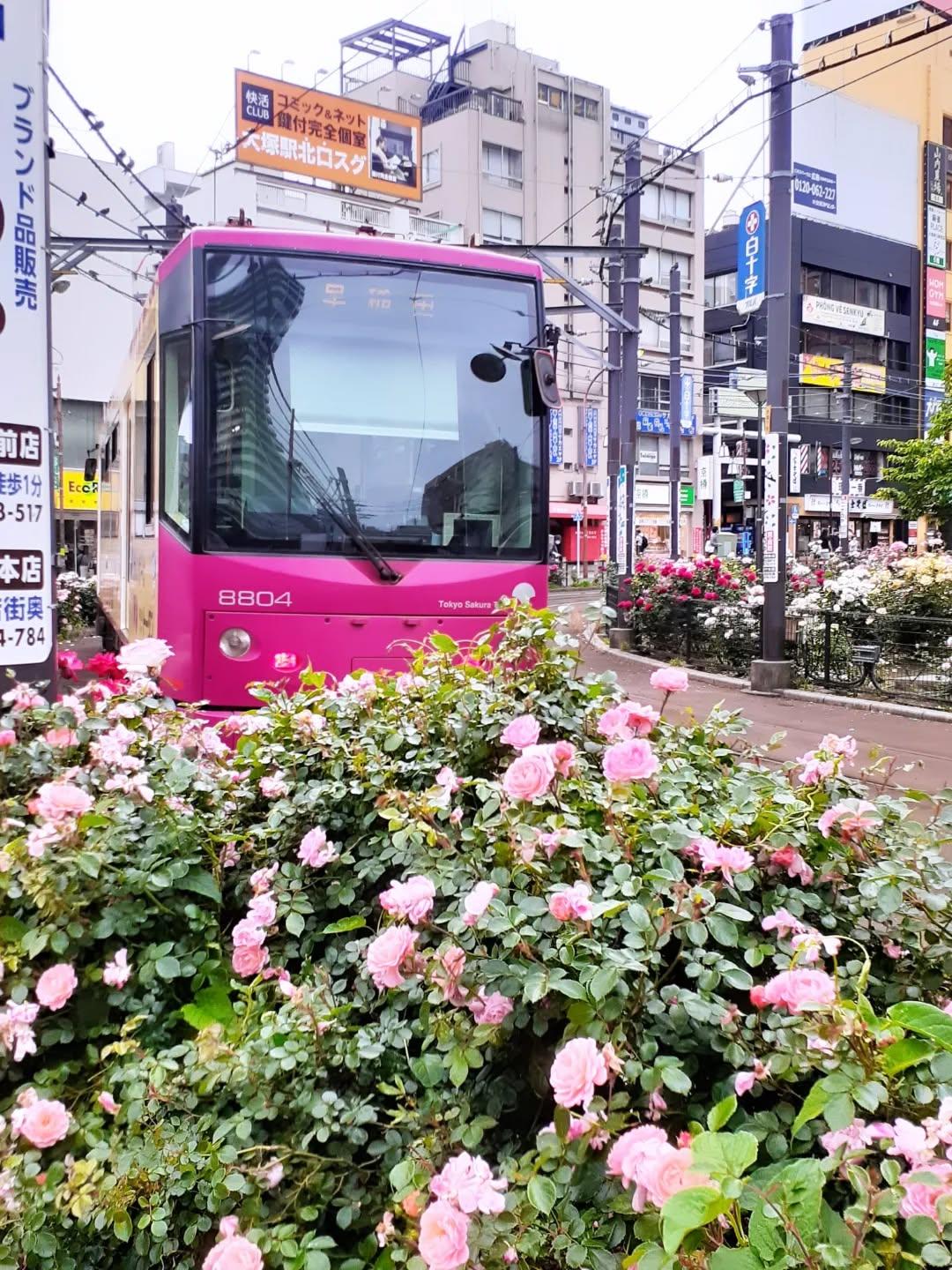 最新情報画像