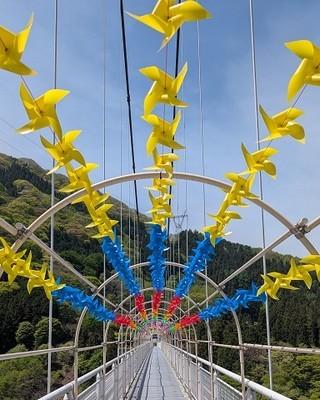 最新情報画像