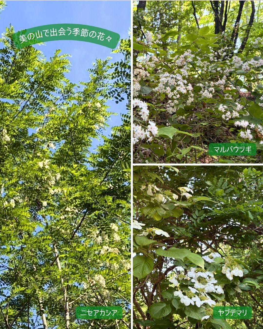 最新情報画像