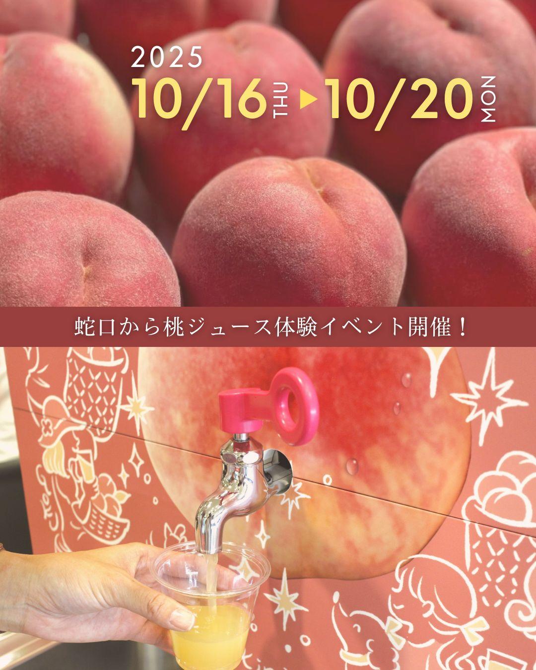 最新情報画像