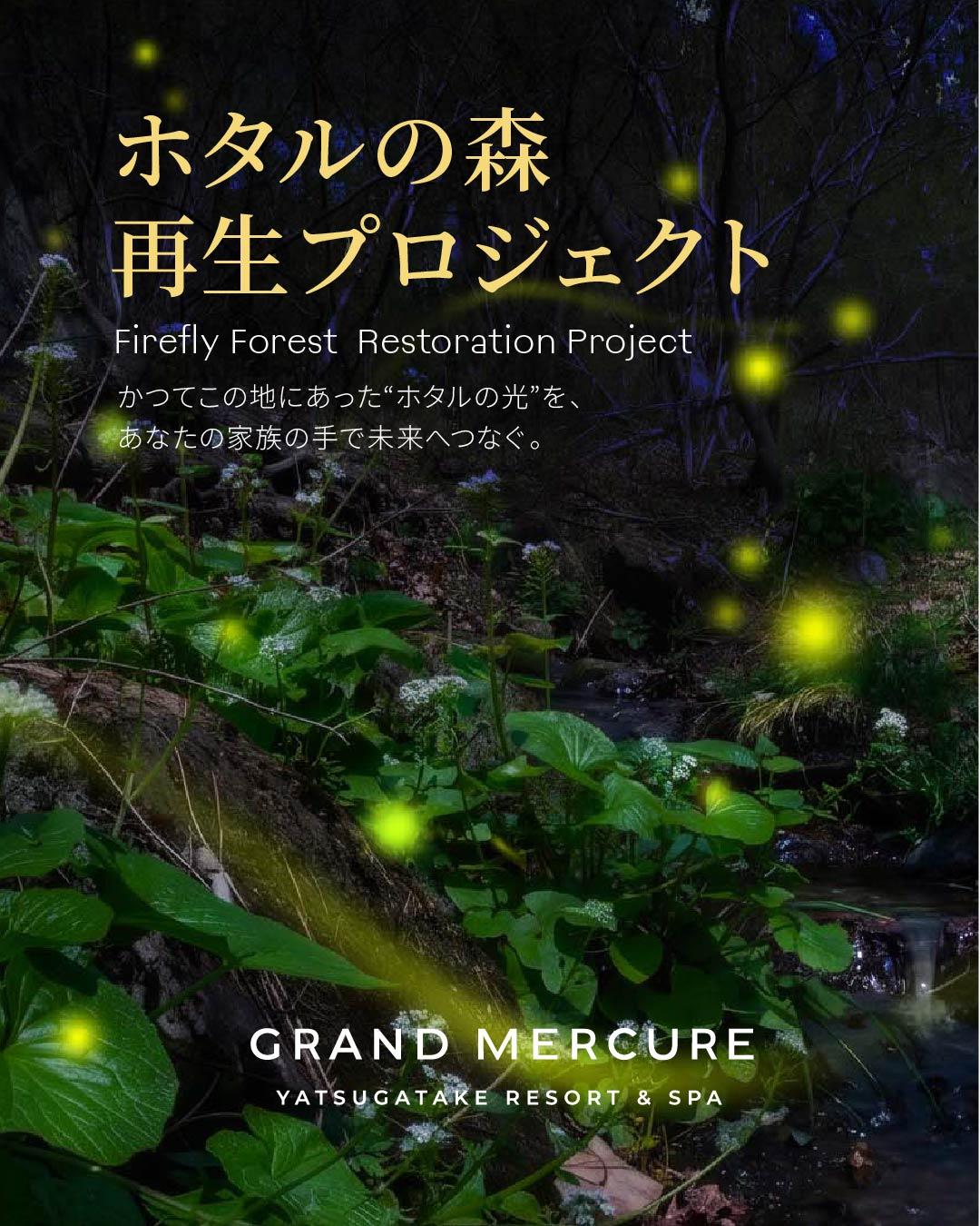 最新情報画像