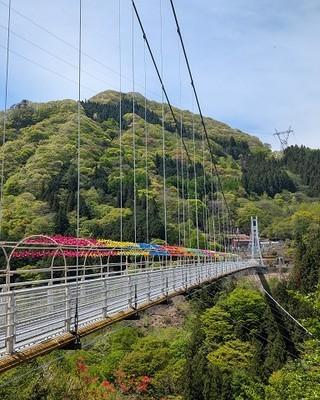 最新情報画像