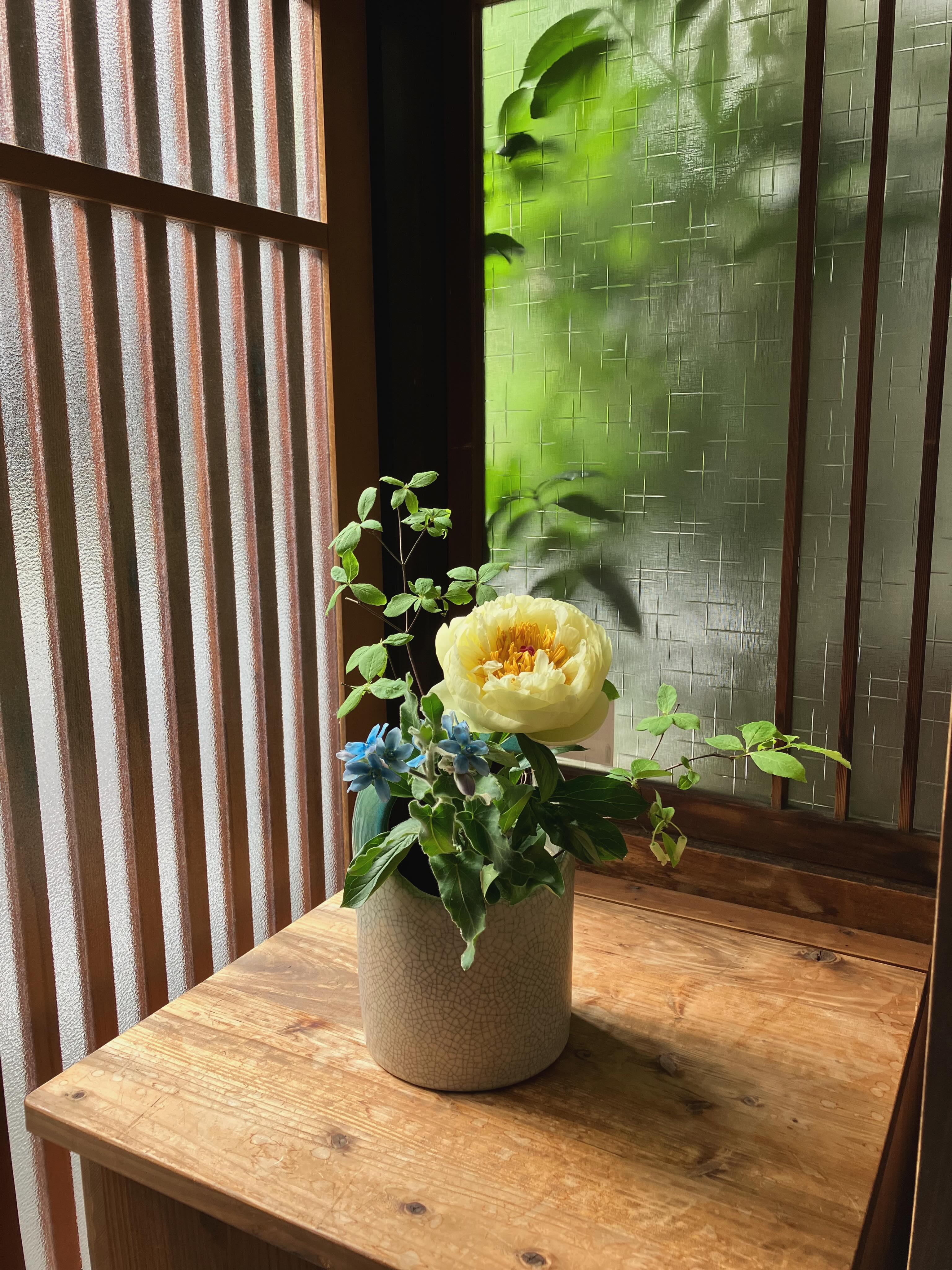 最新情報画像