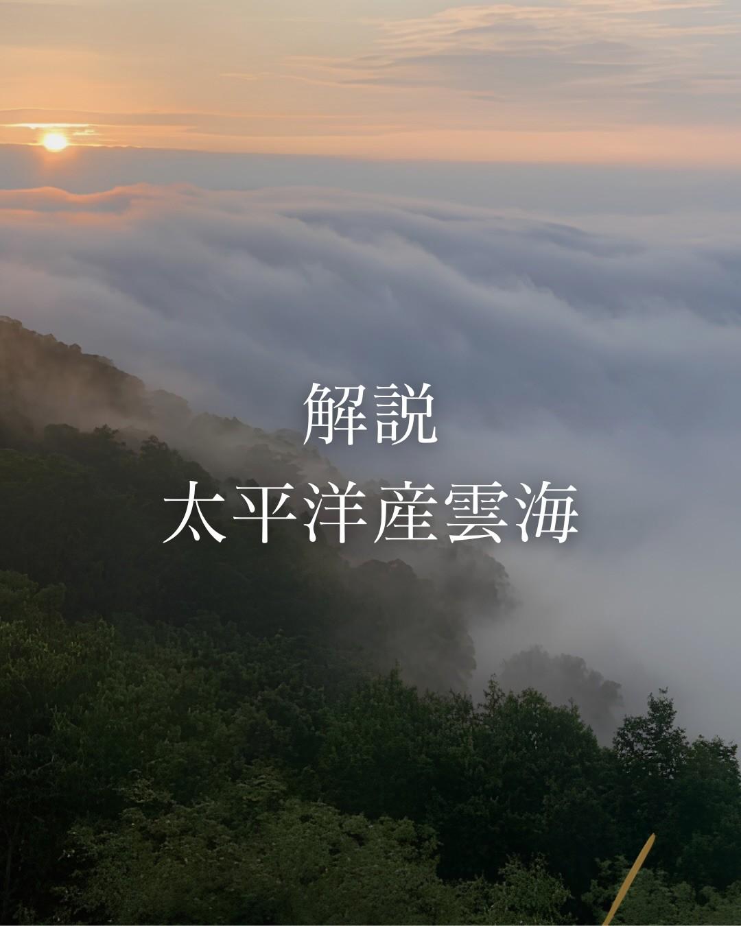最新情報画像