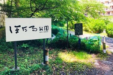 最新情報画像