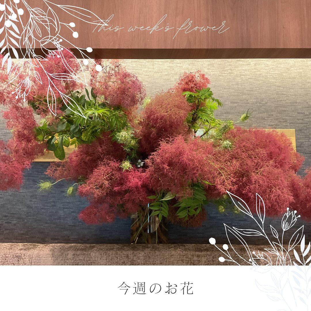 最新情報画像