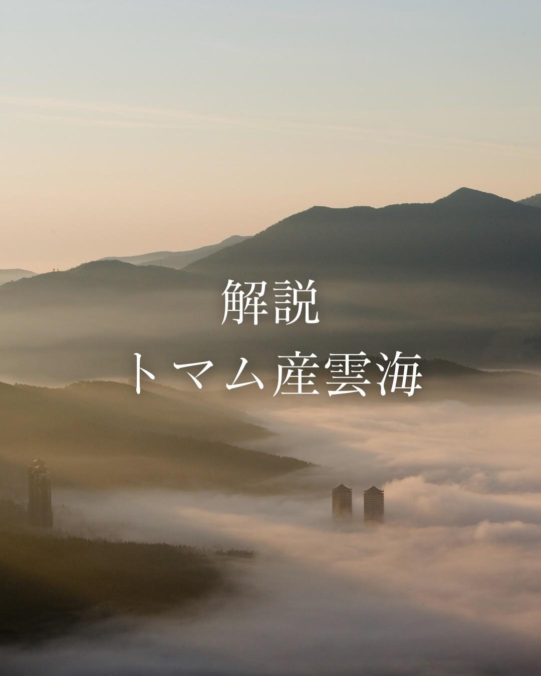 最新情報画像