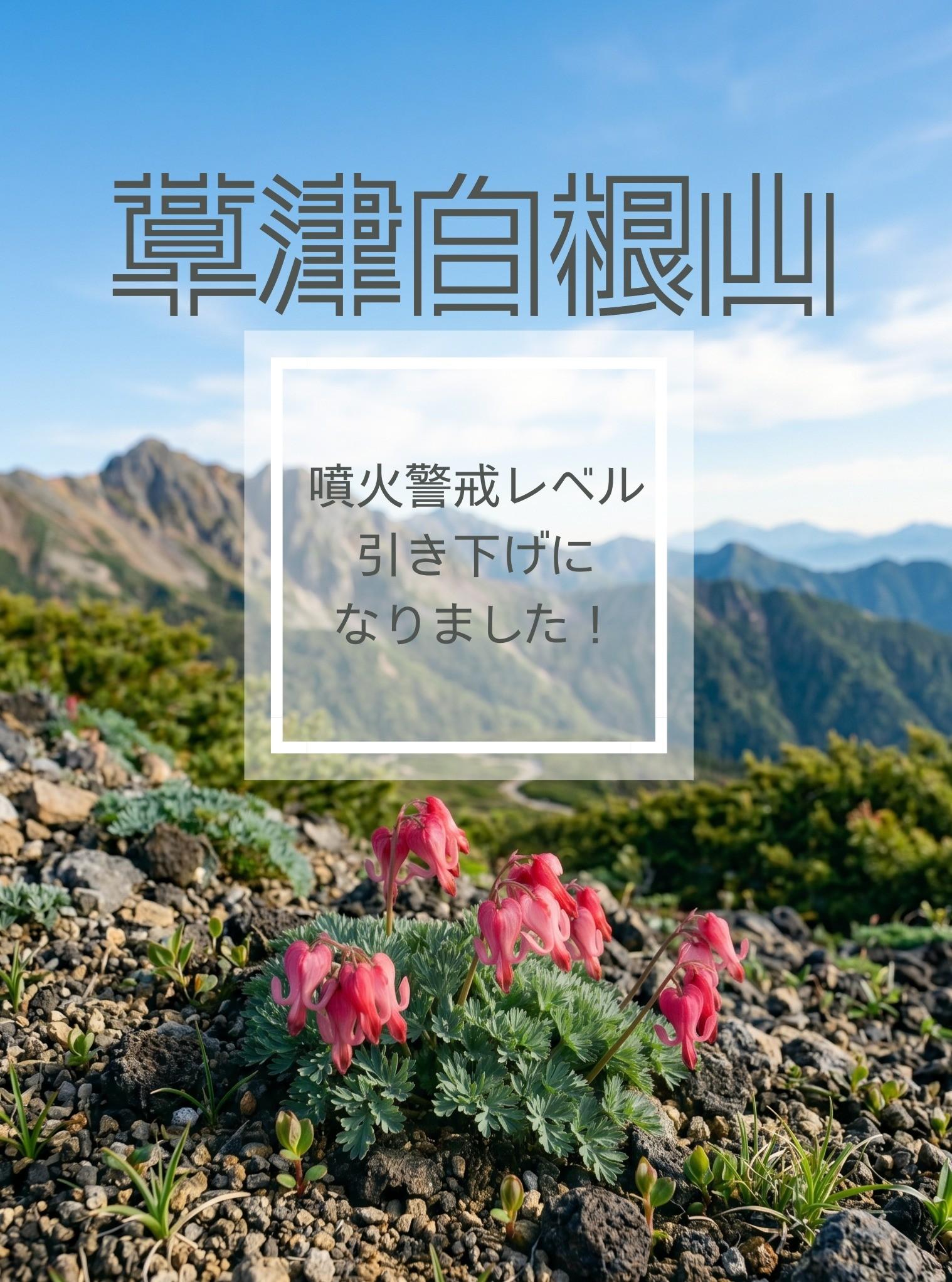最新情報画像