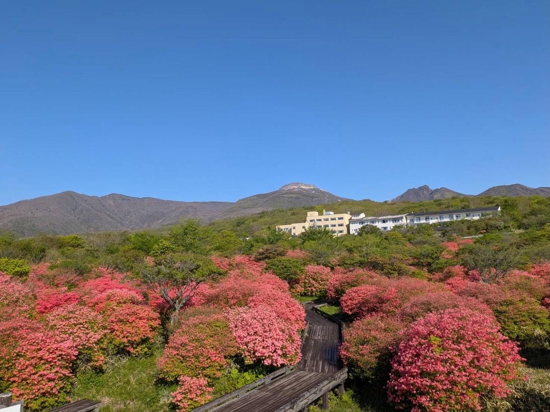 最新情報画像