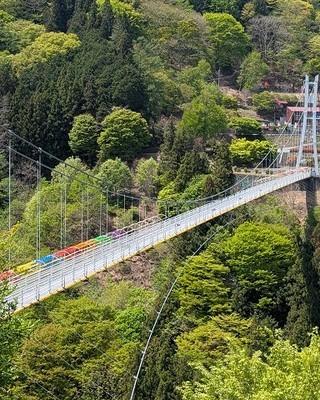最新情報画像