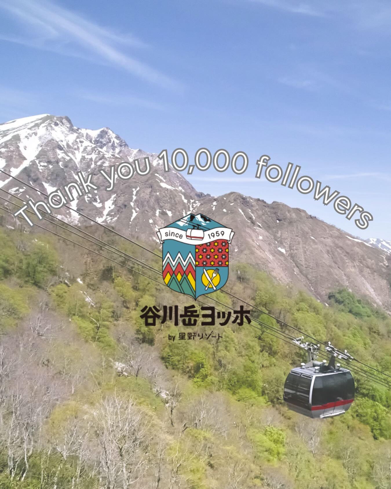 最新情報画像