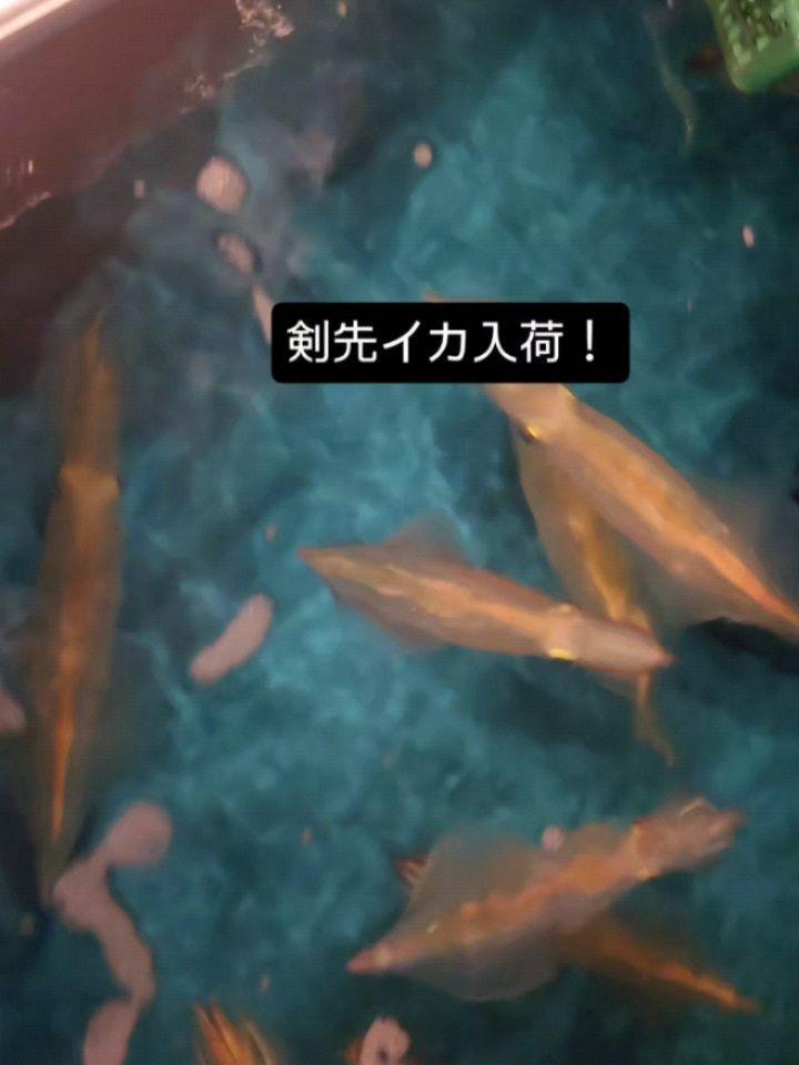 最新情報画像