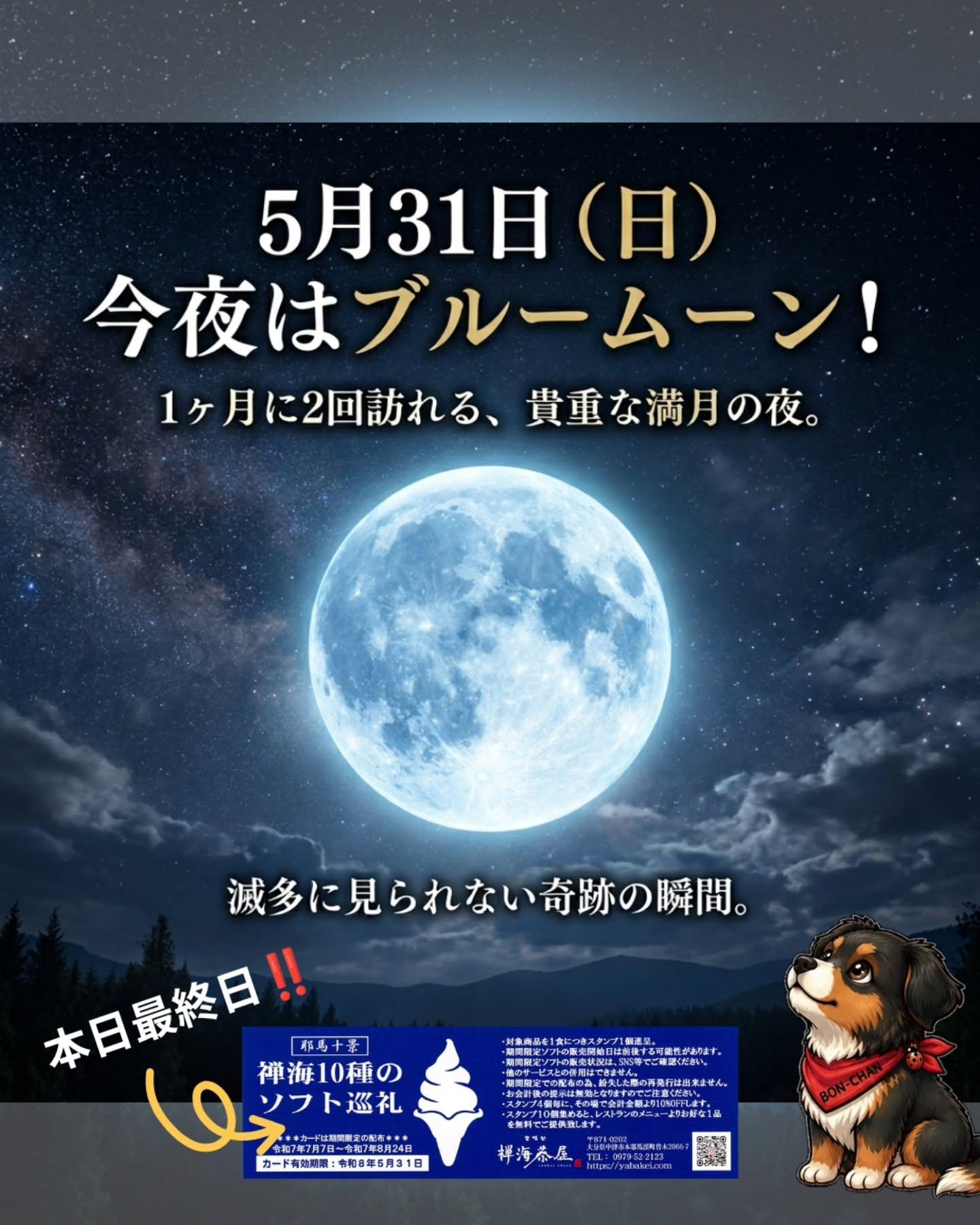 最新情報画像