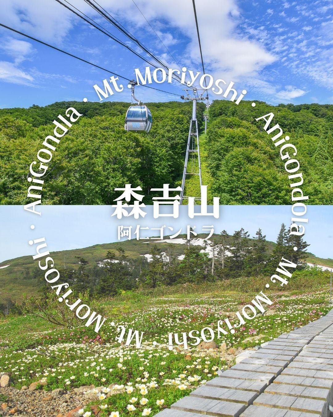 最新情報画像