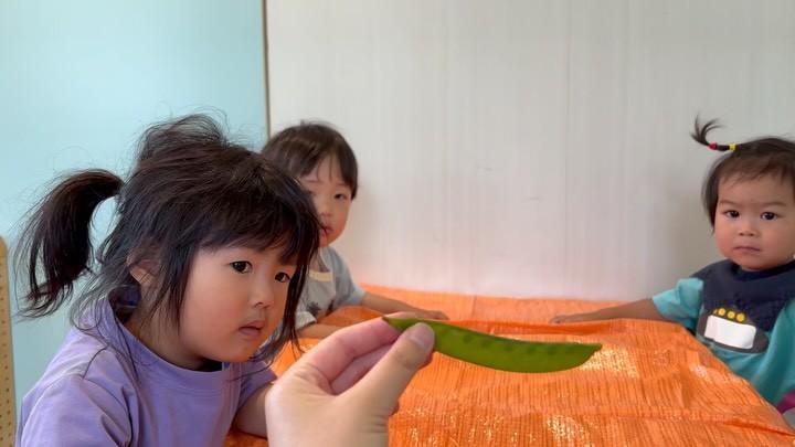 最新情報画像