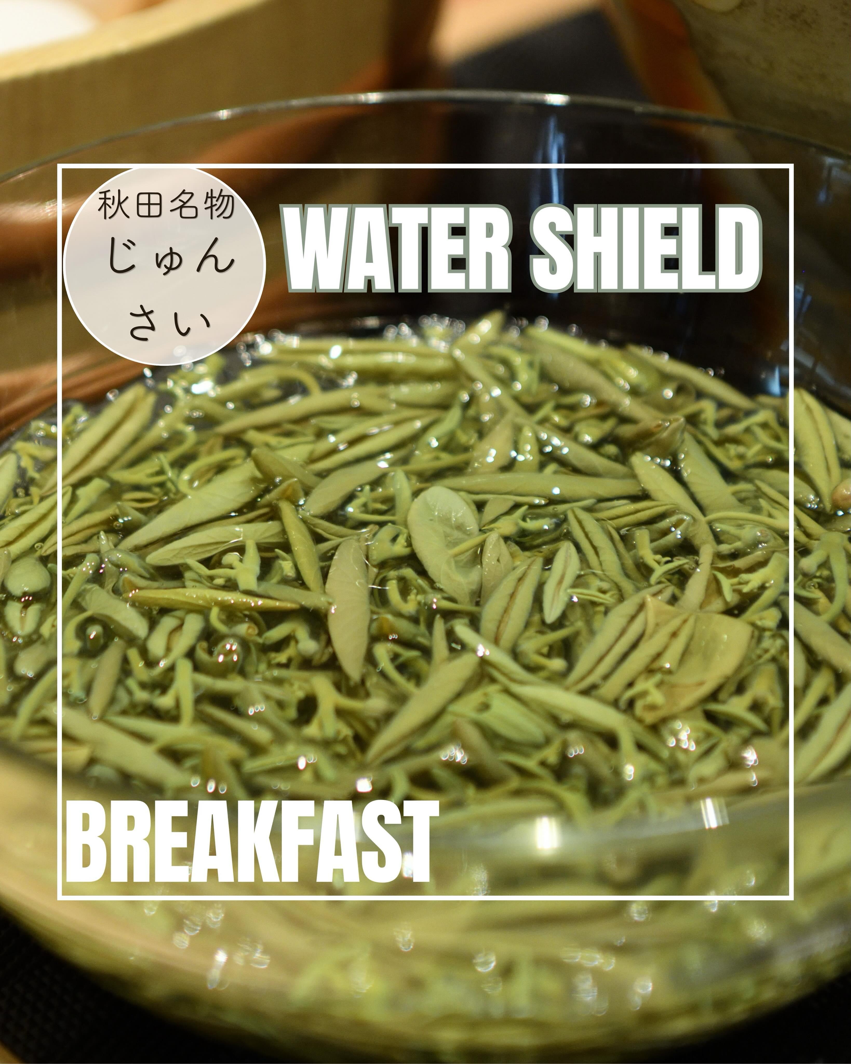 最新情報画像