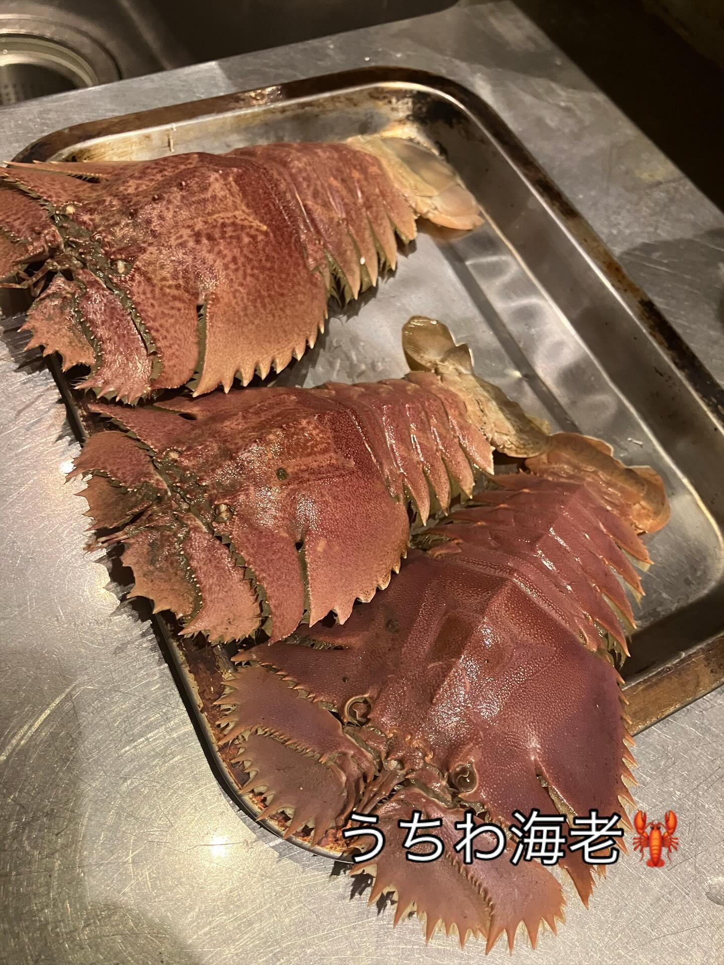 最新情報画像