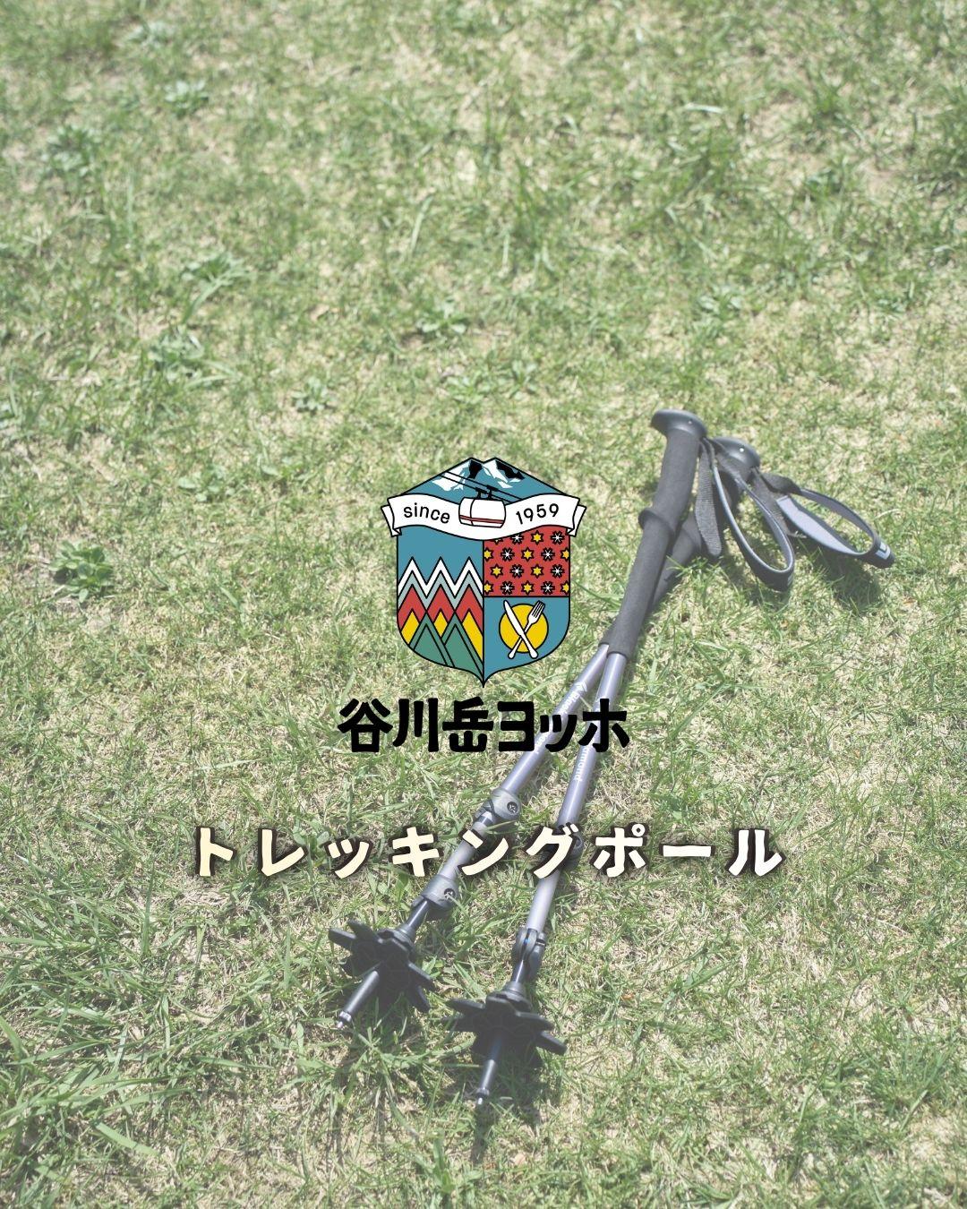 最新情報画像