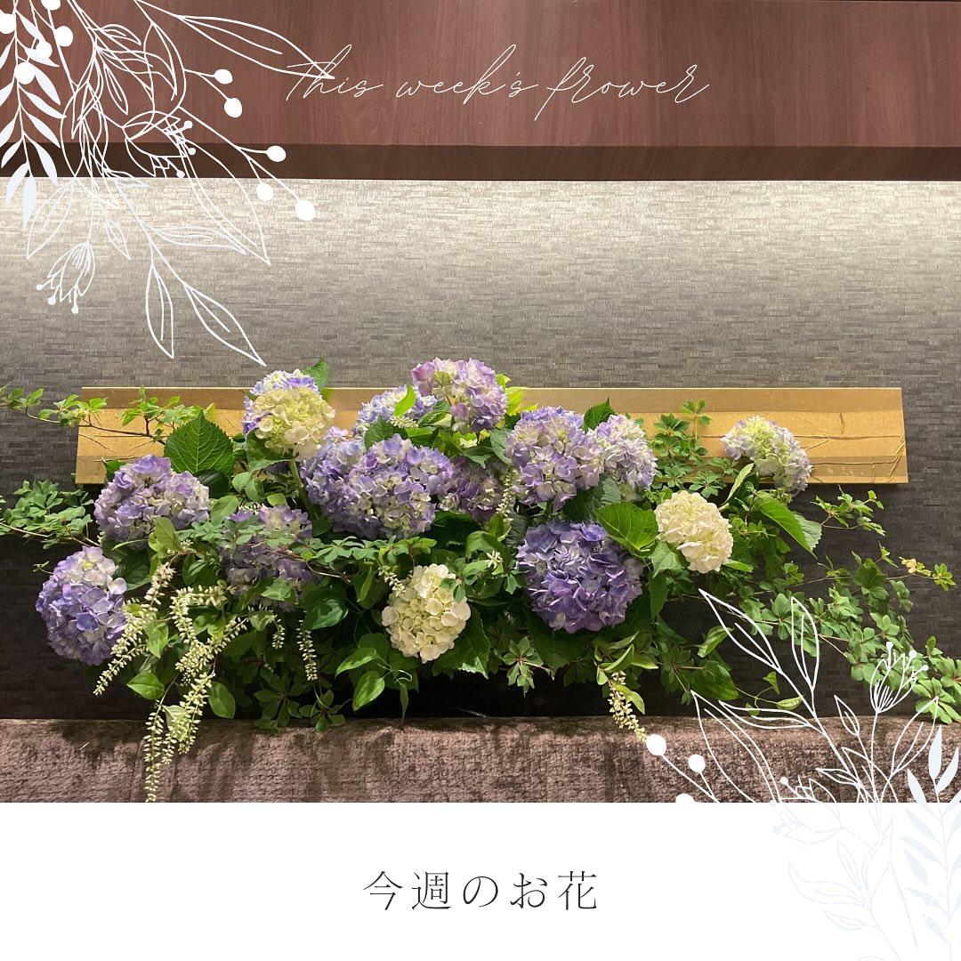 最新情報画像